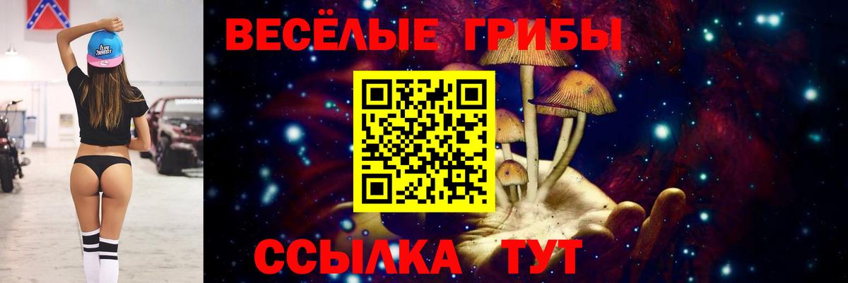Мурманск  Галлюциногенные грибы мухоморы  Вход с VPN  Галлюциногенные грибы Cubensis 