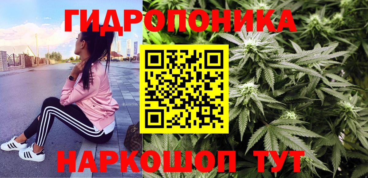 Шишки марихуана MAZAR Мурманск